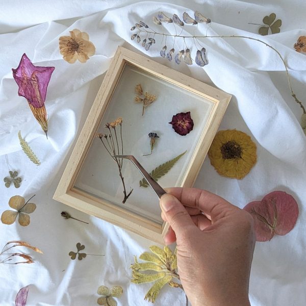 Putting together a pressed flower artwork into a double glass wood frame using Florapeutic's Pressed Flower Art DIY Kit